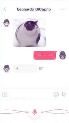 网站攻击手段软件程序维护界面